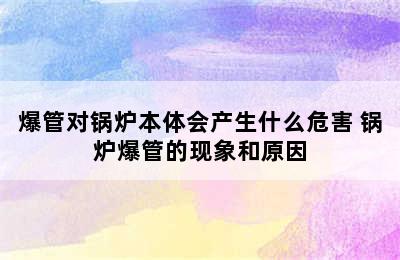 爆管对锅炉本体会产生什么危害 锅炉爆管的现象和原因